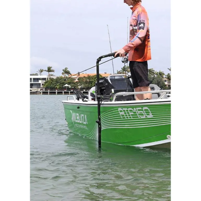 Perche De Sonde Railblaza Hexx Live Pole 60