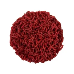 Pecheur.com Pinkies Rouge