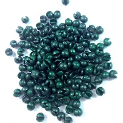 Sensas Plomb Competition Moules Peints