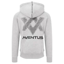 Guru Sweat Homme Aventus Hoodie - Gris