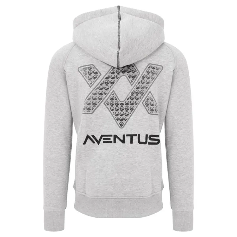 Guru Sweat Homme Aventus Hoodie - Gris