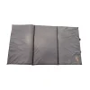 Specimen Carpe Tapis De Reception Standard