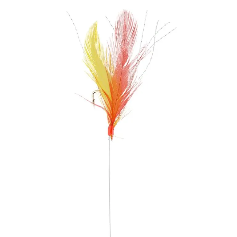 Train De Plumes Srt Plumes Rouges Et Jaunes