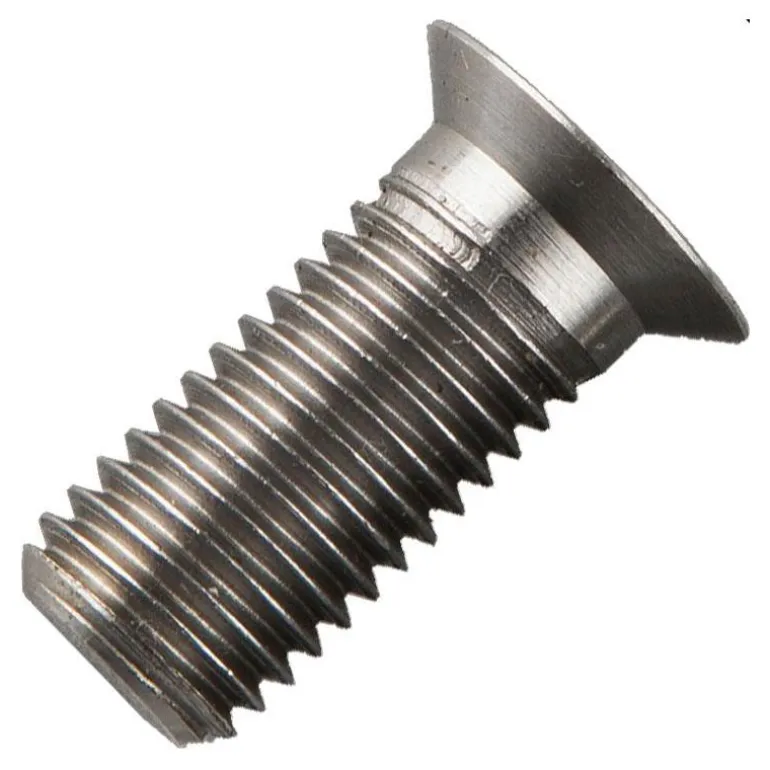 Vis De Fixation Pour Detecteur Delkim Rvs D-Lock Long Bolt